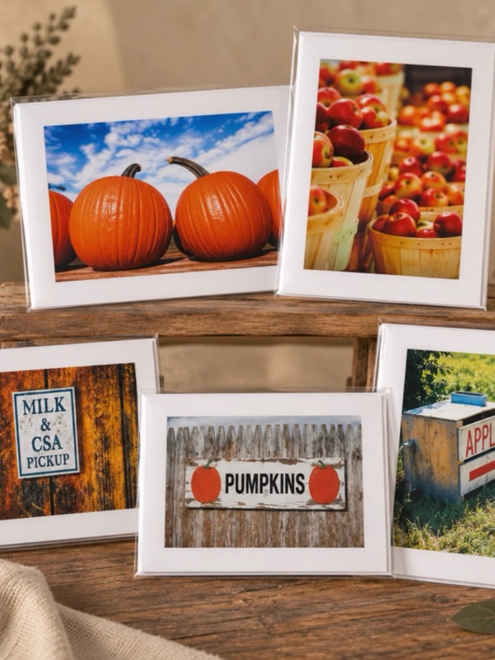 Set of 5 Original Photography Greeting Cards | Frameable Art | Blank Cards